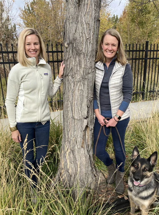 Veterinarian in reno nv