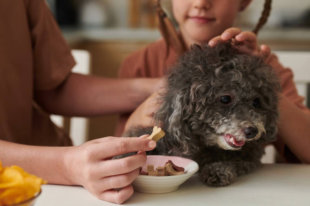 Worst Foods for Diabetic Dogs: What Pet Owners Must Avoid