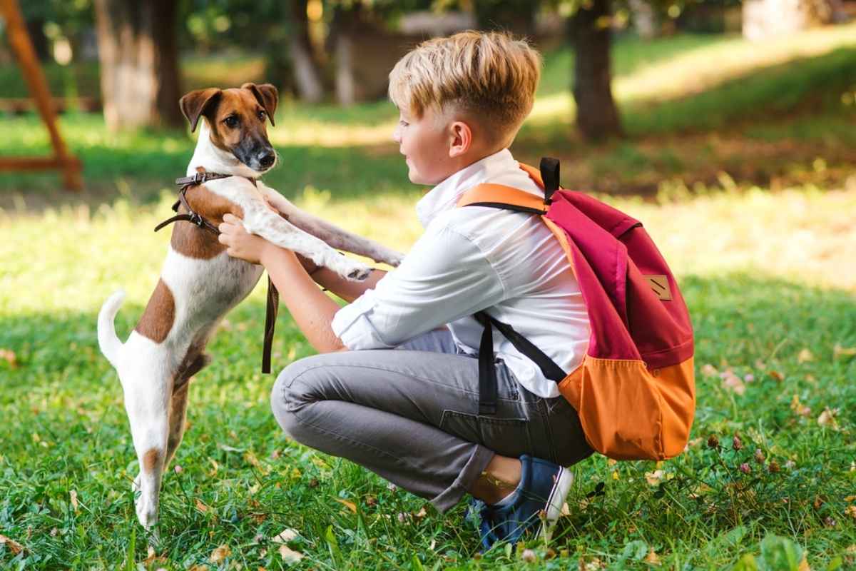 national-pet-day-10-pet-health-tips-guide