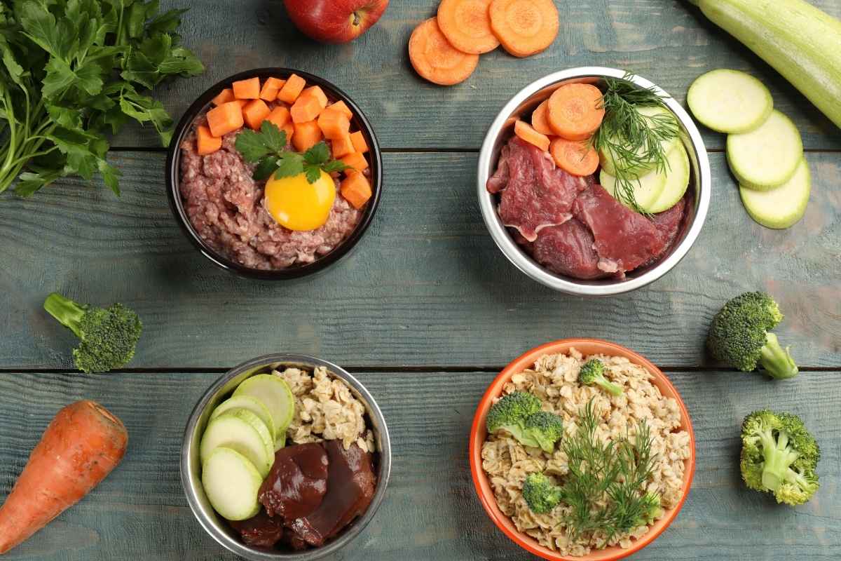 raw-vs-fresh-vs-kibble-for-dogs