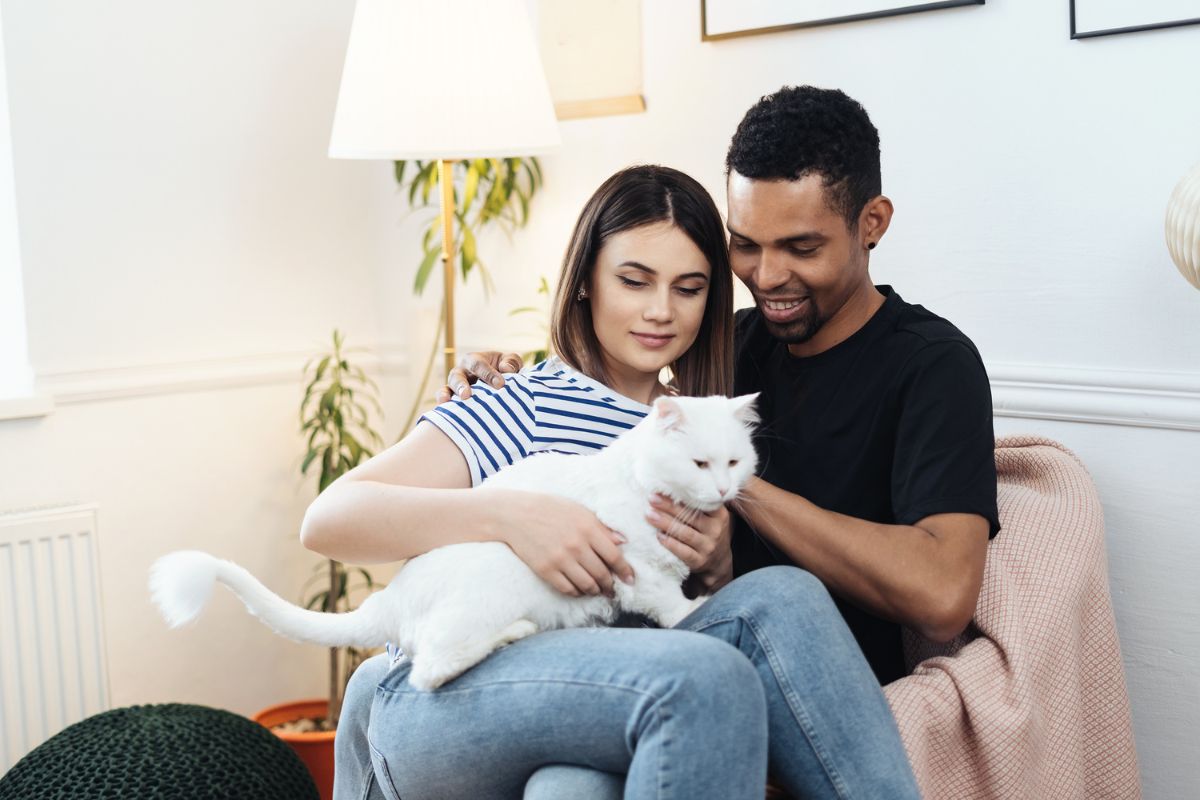 pet-anesthesia-questions-before-surgery